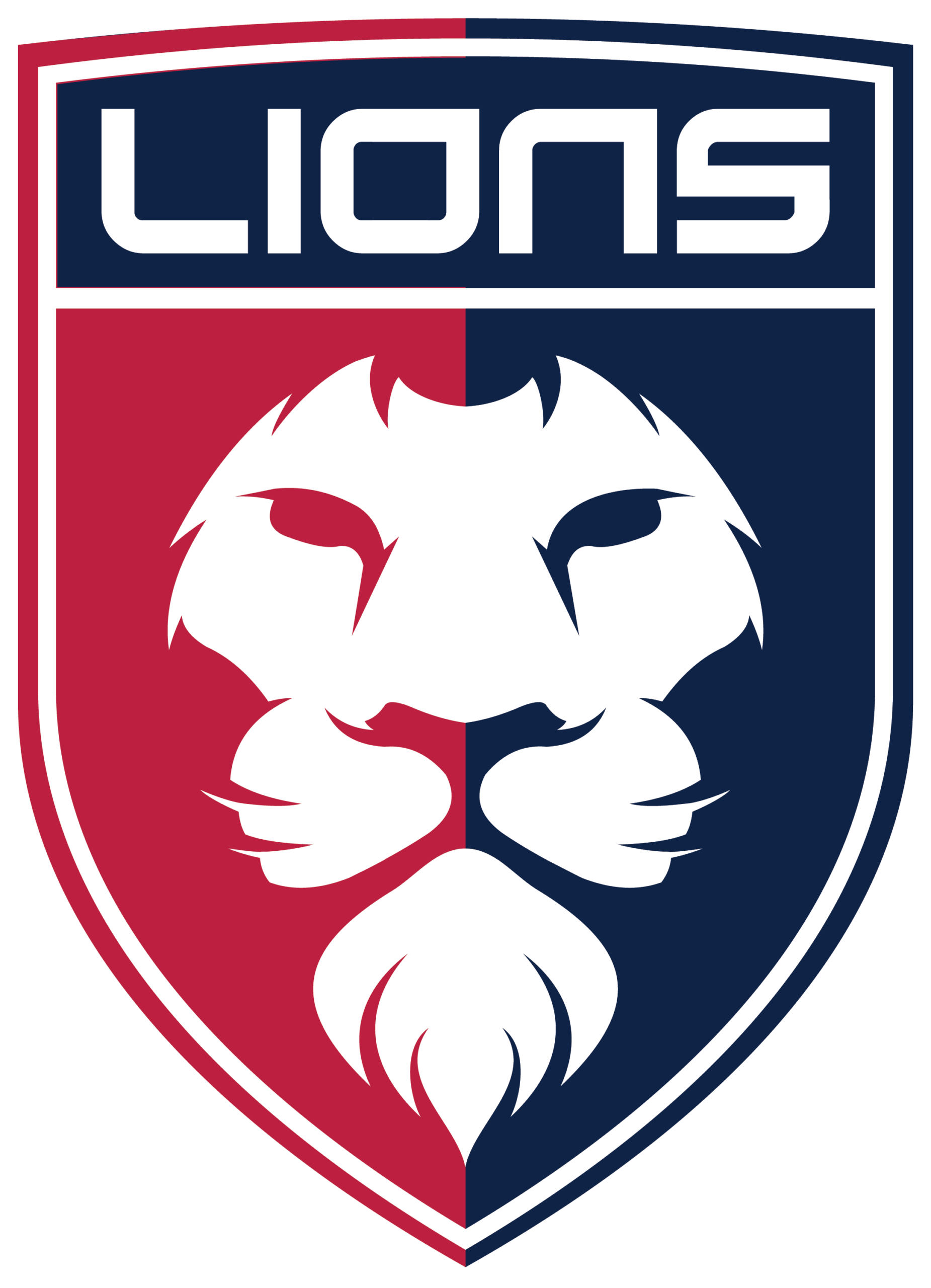 lionshandball.cz