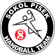 Sokol Písek B